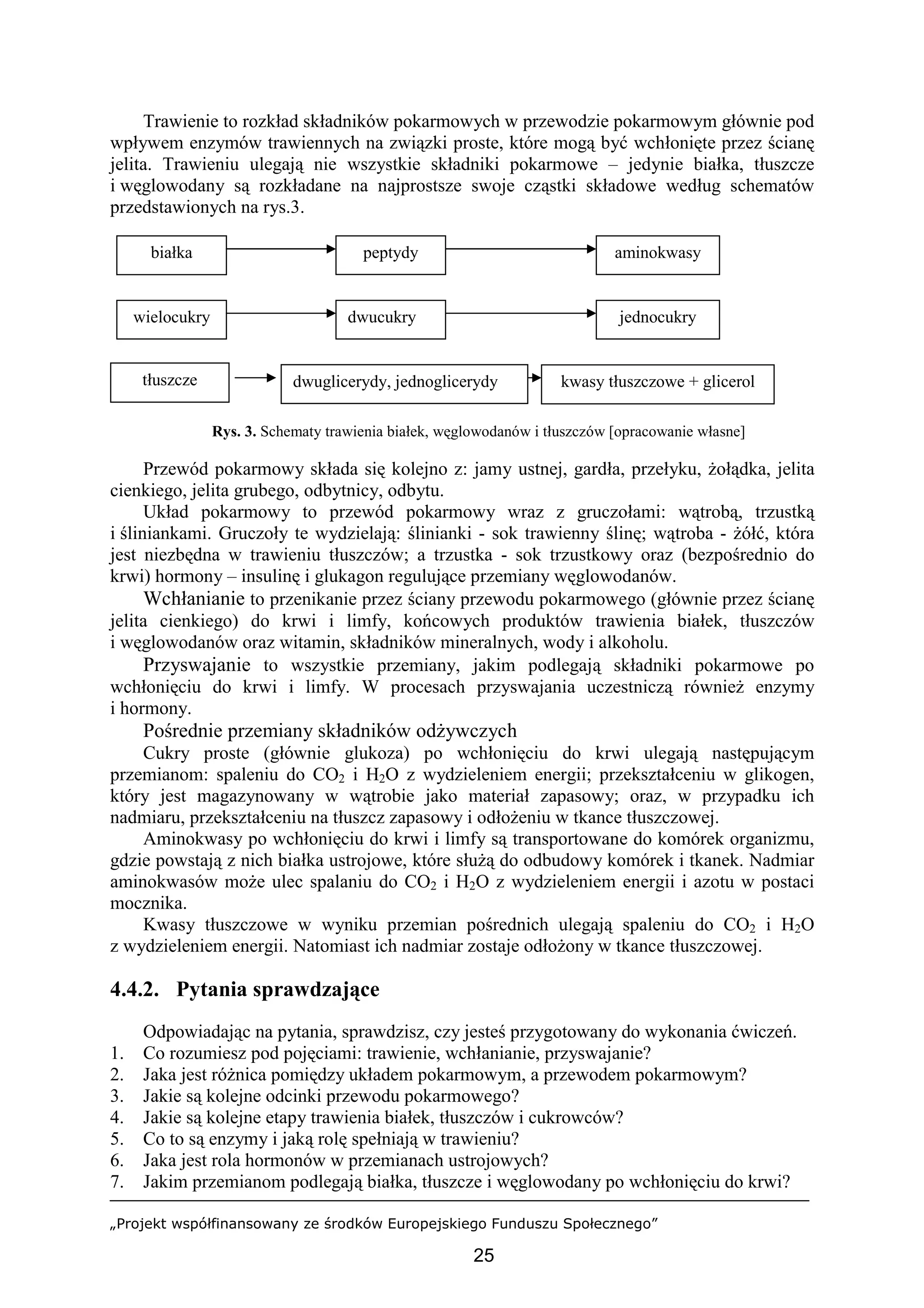 „Projekt współfinansowany ze środków Europejskiego Funduszu Społecznego”
25
Trawienie to rozkład składników pokarmowych w przewodzie pokarmowym głównie pod
wpływem enzymów trawiennych na związki proste, które mogą być wchłonięte przez ścianę
jelita. Trawieniu ulegają nie wszystkie składniki pokarmowe – jedynie białka, tłuszcze
i węglowodany są rozkładane na najprostsze swoje cząstki składowe według schematów
przedstawionych na rys.3.
Rys. 3. Schematy trawienia białek, węglowodanów i tłuszczów [opracowanie własne]
Przewód pokarmowy składa się kolejno z: jamy ustnej, gardła, przełyku, żołądka, jelita
cienkiego, jelita grubego, odbytnicy, odbytu.
Układ pokarmowy to przewód pokarmowy wraz z gruczołami: wątrobą, trzustką
i śliniankami. Gruczoły te wydzielają: ślinianki - sok trawienny ślinę; wątroba - żółć, która
jest niezbędna w trawieniu tłuszczów; a trzustka - sok trzustkowy oraz (bezpośrednio do
krwi) hormony – insulinę i glukagon regulujące przemiany węglowodanów.
Wchłanianie to przenikanie przez ściany przewodu pokarmowego (głównie przez ścianę
jelita cienkiego) do krwi i limfy, końcowych produktów trawienia białek, tłuszczów
i węglowodanów oraz witamin, składników mineralnych, wody i alkoholu.
Przyswajanie to wszystkie przemiany, jakim podlegają składniki pokarmowe po
wchłonięciu do krwi i limfy. W procesach przyswajania uczestniczą również enzymy
i hormony.
Pośrednie przemiany składników odżywczych
Cukry proste (głównie glukoza) po wchłonięciu do krwi ulegają następującym
przemianom: spaleniu do CO2 i H2O z wydzieleniem energii; przekształceniu w glikogen,
który jest magazynowany w wątrobie jako materiał zapasowy; oraz, w przypadku ich
nadmiaru, przekształceniu na tłuszcz zapasowy i odłożeniu w tkance tłuszczowej.
Aminokwasy po wchłonięciu do krwi i limfy są transportowane do komórek organizmu,
gdzie powstają z nich białka ustrojowe, które służą do odbudowy komórek i tkanek. Nadmiar
aminokwasów może ulec spalaniu do CO2 i H2O z wydzieleniem energii i azotu w postaci
mocznika.
Kwasy tłuszczowe w wyniku przemian pośrednich ulegają spaleniu do CO2 i H2O
z wydzieleniem energii. Natomiast ich nadmiar zostaje odłożony w tkance tłuszczowej.
4.4.2. Pytania sprawdzające
Odpowiadając na pytania, sprawdzisz, czy jesteś przygotowany do wykonania ćwiczeń.
1. Co rozumiesz pod pojęciami: trawienie, wchłanianie, przyswajanie?
2. Jaka jest różnica pomiędzy układem pokarmowym, a przewodem pokarmowym?
3. Jakie są kolejne odcinki przewodu pokarmowego?
4. Jakie są kolejne etapy trawienia białek, tłuszczów i cukrowców?
5. Co to są enzymy i jaką rolę spełniają w trawieniu?
6. Jaka jest rola hormonów w przemianach ustrojowych?
7. Jakim przemianom podlegają białka, tłuszcze i węglowodany po wchłonięciu do krwi?
tłuszcze
peptydy aminokwasy
wielocukry dwucukry
kwasy tłuszczowe + glicerol
białka
jednocukry
dwuglicerydy, jednoglicerydy
 