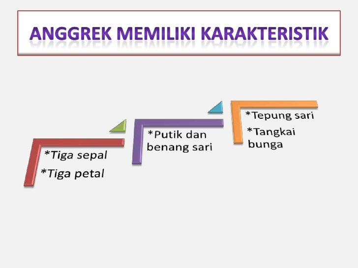 iTekniki iBudidayai iAnggreki