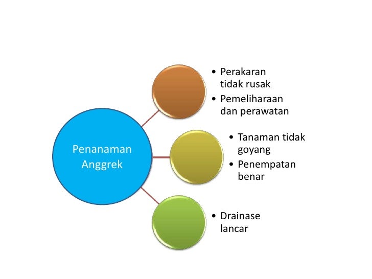iTekniki iBudidayai iAnggreki