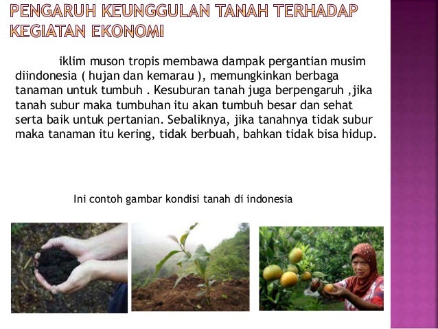 Pengaruh letak iklim geostrategis dan tanah terhadap Pengaruh letak iklim geostrategis dan tanah terhadap
