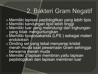  Memiliki lapisan peptidoglikan yang lebih tipis
 Memiliki kandungan lipid lebih tinggi
 Memiliki luar yang melindungi dari lngkungan
yang tidak menguntungkan
 Memiliki lipoposakarida (LPS ) sebagai materi
endotoksin
 Dinding sel yang tebal menyerap kristal
merah muda saat pewarnaan Gram sehingga
berwarna merah muda
 Memiliki 2 lapisan membran,yaitu lapisan
peptidoglikan dan lapisan membran luar
 