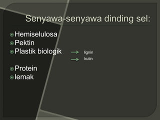 Hemiselulosa
Pektin
Plastik biologik
Protein
lemak
lignin
kutin
 