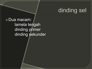 Dua macam:
lamela tengah
dinding primer
dinding sekunder
 