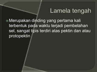 Merupakan dinding yang pertama kali
terbentuk pada waktu terjadi pembelahan
sel, sangat tipis terdiri atas pektin dan atau
protopektin
 
