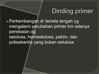 Perkembangan dr lamela tengah yg
mengalami perubahan primer krn adanya
penebalan dg
selulosa, hemiselulosa, pektin, dan
polisakarida yang bukan selulosa
 