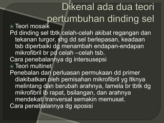  Teori mosaik
Pd dinding sel tbtk celah-celah akibat regangan dan
tekanan turgor, shg dd sel berlepasan, keadaan
tsb diperbaiki dg menambah endapan-endapan
mikrofibril br pd celah –celah tsb.
Cara penebalannya dg intersusepsi
 Teori multinet
Penebalan dan perluasan permukaan dd primer
diakibatkan oleh pemisahan mikrofibril yg ltknya
melintang dan berubah arahnya, lamela br tbtk dg
mikrofibril lb rapat, bsilangan, dan arahnya
mendekati tranversal semakin memusat.
Cara penebalannya dg aposisi
 