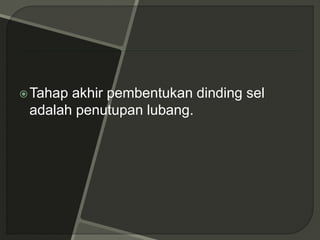 Tahap akhir pembentukan dinding sel
adalah penutupan lubang.
 