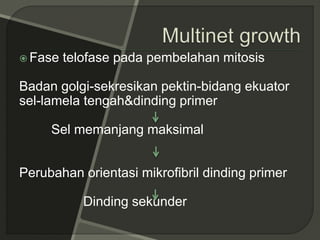  Fase telofase pada pembelahan mitosis
Badan golgi-sekresikan pektin-bidang ekuator
sel-lamela tengah&dinding primer
Sel memanjang maksimal
Perubahan orientasi mikrofibril dinding primer
Dinding sekunder
 