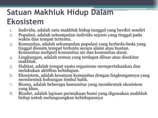 Contoh Individu Kelompok 4 ekosistem | PDF