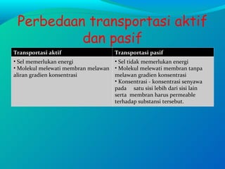Perbedaan transportasi aktif dan pasif Transportasi aktif Transportasi pasif Sel memerlukan energi Molekul melewati membran melawan aliran gradien konsentrasi Sel tidak memerlukan energi Molekul melewati membran tanpa melawan gradien konsentrasi Konsentrasi - konsentrasi senyawa pada  satu sisi lebih dari sisi lain serta  membran harus permeable terhadap substansi tersebut. 