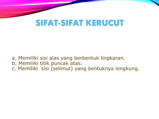 a. Memiliki sisi alas yang berbentuk lingkaran.
b. Memiliki titik puncak atas.
c. Memiliki sisi (selimut) yang bentuknya lengkung.
SIFAT-SIFAT KERUCUT
 