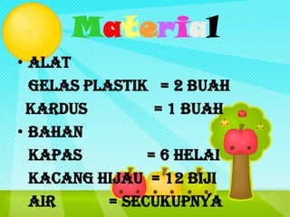 Material
• Alat
  gelas plastik = 2 buah
 kardus          = 1 buah
• Bahan
  Kapas         = 6 helai
  Kacang Hijau = 12 biji
  Air      = secukupnya
 