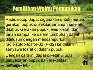 Pemilihan Waktu Pemupukan
Radioisotop dapat digunakan untuk merunut
gerakan pupuk di sekitar tanaman setelah
ditabur. Gerakan pupuk jenis fosfat, dari
tanah sampai ke dalam tumbuhan dapat
ditelusuri dengan mencampurkan
radioisotop fosfor-32 (P-32) ke dalam
senyawa fosfat di dalam pupuk.
Dengan cara ini dapat diketahui pola
penyebaran pupuk dan efektifitas
11
pemupukan.

 