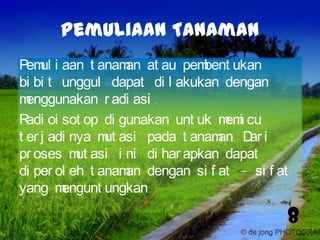 Pemuliaan Tanaman
Pem i aan t anam at au pem
ul
an
bent ukan
bi bi t unggul dapat di l akukan dengan
m
enggunakan r adi asi .
R oi sot op di gunakan unt uk m i cu
adi
em
t er j adi nya m asi pada t anam D i
ut
an. ar
pr oses m asi i ni di har apkan dapat
ut
di per ol eh t anam dengan si f at – si f at
an
yang m
engunt ungkan.

8

 