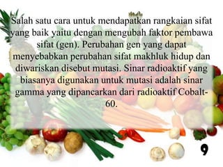 Salah satu cara untuk mendapatkan rangkaian sifat
yang baik yaitu dengan mengubah faktor pembawa
sifat (gen). Perubahan gen yang dapat
menyebabkan perubahan sifat makhluk hidup dan
diwariskan disebut mutasi. Sinar radioaktif yang
biasanya digunakan untuk mutasi adalah sinar
gamma yang dipancarkan dari radioaktif Cobalt60.

9

 