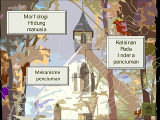 Mor f ologi
 Hidung
 manusia

                  Kelainan
                    Pada
                  I nder a
                 penciuman
     Mekanisme
     penciuman
 