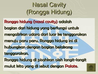Nasal Cavity
           (Rongga Hidung)
Rongga hidung (nasal cavity) adalah
bagian dari hidung yang berfungsi untuk
mengalirkan udara dari luar ke tenggorokan
menuju paru paru. Rongga hidung ini di
hubungkan dengan bagian belakang
tenggorokan.
Rongga hidung di pisahkan oleh langit-langit
mulut kita yang di sebut dengan Palate.
 