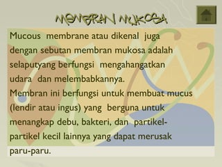 Membran Mukosa
Mucous membrane atau dikenal juga
dengan sebutan membran mukosa adalah
selaputyang berfungsi mengahangatkan
udara dan melembabkannya.
Membran ini berfungsi untuk membuat mucus
(lendir atau ingus) yang berguna untuk
menangkap debu, bakteri, dan partikel-
partikel kecil lainnya yang dapat merusak
paru-paru.
 