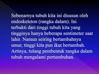 Biologi - Jenis tulang