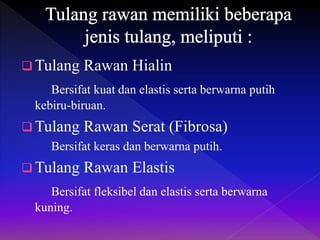  Tulang Rawan Hialin
Bersifat kuat dan elastis serta berwarna putih
kebiru-biruan.
 Tulang Rawan Serat (Fibrosa)
Bersifat keras dan berwarna putih.
 Tulang Rawan Elastis
Bersifat fleksibel dan elastis serta berwarna
kuning.
 