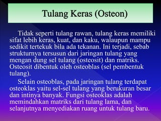 Tidak seperti tulang rawan, tulang keras memiliki
sifat lebih keras, kuat, dan kaku, walaupun mampu
sedikit tertekuk bila ada tekanan. Ini terjadi, sebab
strukturnya tersusun dari jaringan tulang yang
mengan dung sel tulang (osteosit) dan matriks.
Osteosit dibentuk oleh osteoblas (sel pembentuk
tulang).
Selain osteoblas, pada jaringan tulang terdapat
osteoklas yaitu sel-sel tulang yang berukuran besar
dan intinya banyak. Fungsi osteoklas adalah
memindahkan matriks dari tulang lama, dan
selanjutnya menyediakan ruang untuk tulang baru.
 