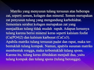 Biologi - Jenis tulang