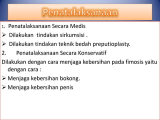 1.

Penatalaksanaan Secara Medis
 Dilakukan tindakan sirkumsisi .
 Dilakukan tindakan teknik bedah preputioplasty.
2.
Penatalaksanaan Secara Konservatif
Dilakukan dengan cara menjaga kebersihan pada fimosis yaitu
dengan cara :
 Menjaga kebersihan bokong.
 Menjaga kebersihan penis

 