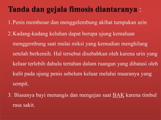 Tanda dan gejala fimosis diantaranya :
1. Penis membesar dan menggelembung akibat tumpukan urin
2. Kadang-kadang keluhan dapat berupa ujung kemaluan

menggembung saat mulai miksi yang kemudian menghilang
setelah berkemih. Hal tersebut disebabkan oleh karena urin yang
keluar terlebih dahulu tertahan dalam ruangan yang dibatasi oleh
kulit pada ujung penis sebelum keluar melalui muaranya yang
sempit.
3. Biasanya bayi menangis dan mengejan saat BAK karena timbul
rasa sakit.

 