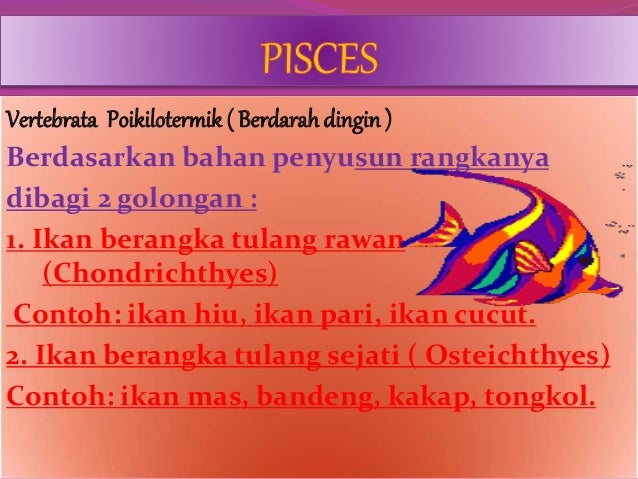  CIRI CIRI  HEWAN  VERTEBRATA  PADA COORDATA