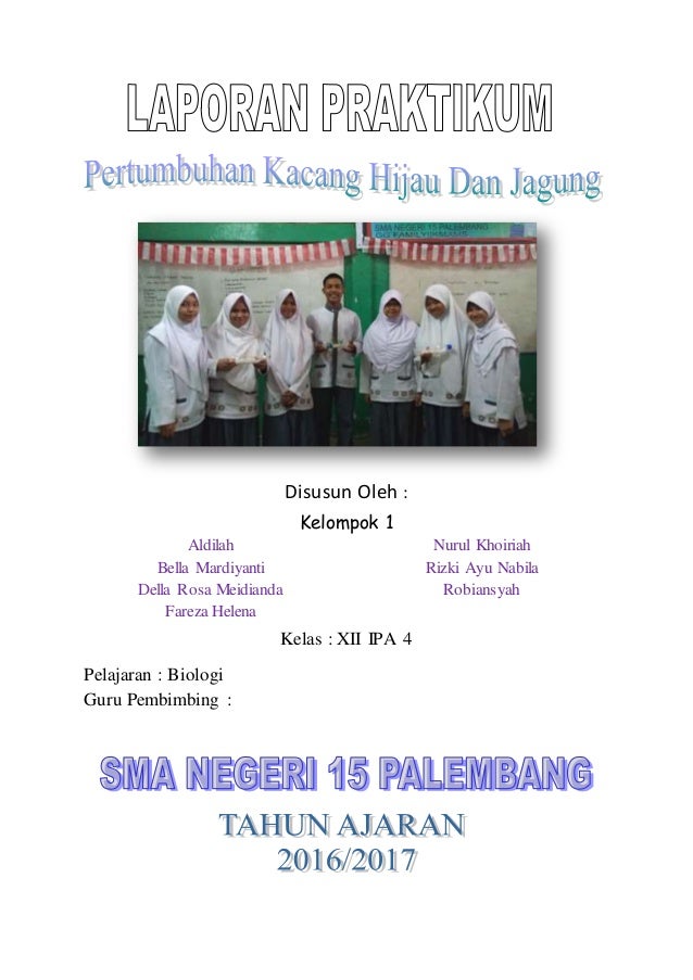 Gambar Kecambah Kacang Hijau Dan Jagung Rahman Gambar