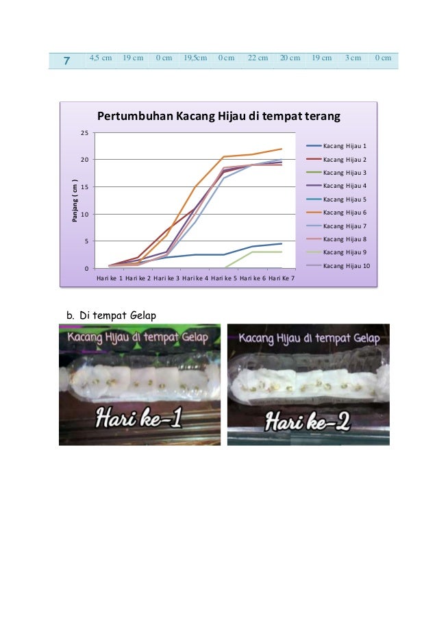 Makalah Perkecambahan Biji Kacang Hijau dan Biji Jagung