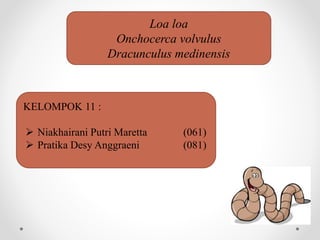 Loa loa
Onchocerca volvulus
Dracunculus medinensis
KELOMPOK 11 :
 Niakhairani Putri Maretta (061)
 Pratika Desy Anggraeni (081)
 