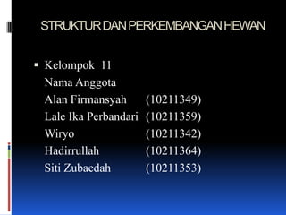 STRUKTUR DAN PERKEMBANGAN HEWAN


 Kelompok 11
 Nama Anggota
 Alan Firmansyah       (10211349)
 Lale Ika Perbandari   (10211359)
 Wiryo                 (10211342)
 Hadirrullah           (10211364)
 Siti Zubaedah         (10211353)
 