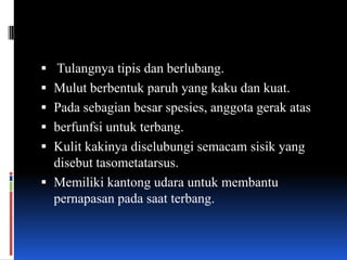  Tulangnya tipis dan berlubang.
 Mulut berbentuk paruh yang kaku dan kuat.
 Pada sebagian besar spesies, anggota gerak atas
 berfunfsi untuk terbang.
 Kulit kakinya diselubungi semacam sisik yang
  disebut tasometatarsus.
 Memiliki kantong udara untuk membantu
  pernapasan pada saat terbang.
 