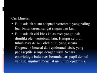 Ciri khusus:
 Bulu adalah suatu adaptasi vertebrata yang paling
  luar biasa karena sangat ringan dan kuat.
 Bulu adalah ciri khas kelas aves yang tidak
  dimiliki oleh vertebrata lain. Hampir seluruh
  tubuh aves ditutupi oleh bulu, yang secara
  filogenetik berasal dari epidermal tubuh, yang
  pada reptile serupa dengan sisik. Secara
  embriologis bulu aves bermula dari papil dermal
  yang selanjutnya mencuat menutupi epidermis.
 