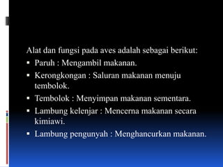 Alat dan fungsi pada aves adalah sebagai berikut:
 Paruh : Mengambil makanan.
 Kerongkongan : Saluran makanan menuju
  tembolok.
 Tembolok : Menyimpan makanan sementara.
 Lambung kelenjar : Mencerna makanan secara
  kimiawi.
 Lambung pengunyah : Menghancurkan makanan.
 
