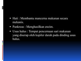  Hati : Membantu mancerna makanan secara
  mekanis.
 Pankreas : Menghasilkan enzim.
 Usus halus : Tempat pencernaan sari makanan
  yang diserap oleh kapiler darah pada dinding usus
  halus.
 