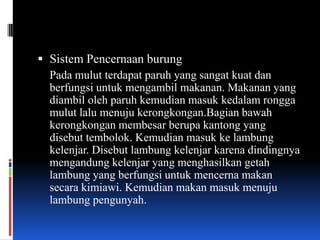  Sistem Pencernaan burung
  Pada mulut terdapat paruh yang sangat kuat dan
  berfungsi untuk mengambil makanan. Makanan yang
  diambil oleh paruh kemudian masuk kedalam rongga
  mulut lalu menuju kerongkongan.Bagian bawah
  kerongkongan membesar berupa kantong yang
  disebut tembolok. Kemudian masuk ke lambung
  kelenjar. Disebut lambung kelenjar karena dindingnya
  mengandung kelenjar yang menghasilkan getah
  lambung yang berfungsi untuk mencerna makan
  secara kimiawi. Kemudian makan masuk menuju
  lambung pengunyah.
 
