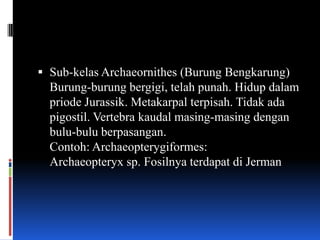  Sub-kelas Archaeornithes (Burung Bengkarung)
  Burung-burung bergigi, telah punah. Hidup dalam
  priode Jurassik. Metakarpal terpisah. Tidak ada
  pigostil. Vertebra kaudal masing-masing dengan
  bulu-bulu berpasangan.
  Contoh: Archaeopterygiformes:
  Archaeopteryx sp. Fosilnya terdapat di Jerman
 