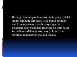 Burung mempunyai dua usus buntu yang terletak
antara lambung dan usus.Usus buntu berguna
untuk memperluas daerah penyerapan sari
makanan. Sisa makanan didorong ke usus besar
kemudian kedalam poros usus (rektum) dan
akhirnya dikeluarkan melalui kloaka.
 