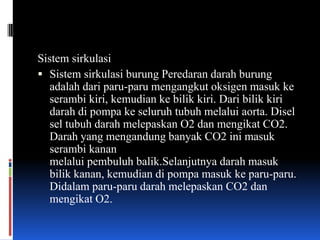 Sistem sirkulasi
 Sistem sirkulasi burung Peredaran darah burung
   adalah dari paru-paru mengangkut oksigen masuk ke
   serambi kiri, kemudian ke bilik kiri. Dari bilik kiri
   darah di pompa ke seluruh tubuh melalui aorta. Disel
   sel tubuh darah melepaskan O2 dan mengikat CO2.
   Darah yang mengandung banyak CO2 ini masuk
   serambi kanan
   melalui pembuluh balik.Selanjutnya darah masuk
   bilik kanan, kemudian di pompa masuk ke paru-paru.
   Didalam paru-paru darah melepaskan CO2 dan
   mengikat O2.
 