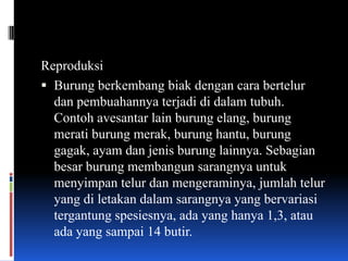 Reproduksi
 Burung berkembang biak dengan cara bertelur
  dan pembuahannya terjadi di dalam tubuh.
  Contoh avesantar lain burung elang, burung
  merati burung merak, burung hantu, burung
  gagak, ayam dan jenis burung lainnya. Sebagian
  besar burung membangun sarangnya untuk
  menyimpan telur dan mengeraminya, jumlah telur
  yang di letakan dalam sarangnya yang bervariasi
  tergantung spesiesnya, ada yang hanya 1,3, atau
  ada yang sampai 14 butir.
 