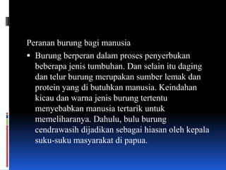 Peranan burung bagi manusia
 Burung berperan dalam proses penyerbukan
  beberapa jenis tumbuhan. Dan selain itu daging
  dan telur burung merupakan sumber lemak dan
  protein yang di butuhkan manusia. Keindahan
  kicau dan warna jenis burung tertentu
  menyebabkan manusia tertarik untuk
  memeliharanya. Dahulu, bulu burung
  cendrawasih dijadikan sebagai hiasan oleh kepala
  suku-suku masyarakat di papua.
 