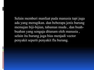 Selain memberi manfaat pada manusia tapi juga
ada yang merugikan. dan beberapa jenis burung
memajan biji-bijian, tabaman muda , dan buah-
buahan yang sengaja ditanam oleh manusia ,
selain itu burung juga bias menjadi vector
penyakit seperti penyakit flu burung.
 