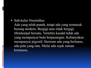  Sub-kelas Neornithes
  Ada yang telah punah, tetapi ada yang termasuk
  burung modern. Bergigi atau tidak bergigi.
  Metakarpal bersatu. Vertebra kaudal tidak ada
  yang mempunyai bulu berpasangan. Kebanyakan
  mempunyai pigostil. Sternum ada yang berlunas,
  ada pula yang rata. Mulai ada sejak zaman
  kretaseus.
 