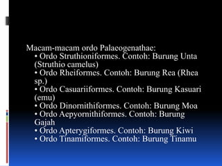 Macam-macam ordo Palaeogenathae:
 • Ordo Struthioniformes. Contoh: Burung Unta
 (Struthio camelus)
 • Ordo Rheiformes. Contoh: Burung Rea (Rhea
 sp.)
 • Ordo Casuariiformes. Contoh: Burung Kasuari
 (emu)
 • Ordo Dinornithiformes. Contoh: Burung Moa
 • Ordo Aepyornithiformes. Contoh: Burung
 Gajah
 • Ordo Apterygiformes. Contoh: Burung Kiwi
 • Ordo Tinamiformes. Contoh: Burung Tinamu
 