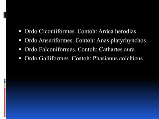  Ordo Ciconiiformes. Contoh: Ardea herodias
 Ordo Anseriformes. Contoh: Anas platyrhynchos
 Ordo Falconiformes. Contoh: Cathartes aura
 Ordo Galliformes. Contoh: Phasianus colchicus
 