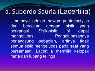 a. Subordo Sauria (Lacertilia)
 Umumnya adalah hewan pentadactylus
 dan bercakar, dengan sisik yang
 bervariasi.   Sisik-sisik   ini   dapat
 mengelupas.             Pengelupasannya
 berlangsung sebagian, artinya tidak
 semua sisik mengelupas pada saat yang
 bersamaan. Lacertilia memiliki kelopak
 mata dan lubang telinga.
 