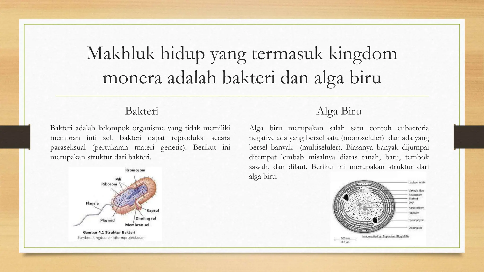 Kelompok 1 [Autosaved].pptx