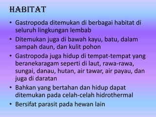 Habitat
• Gastropoda ditemukan di berbagai habitat di
seluruh lingkungan lembab
• Ditemukan juga di bawah kayu, batu, dalam
sampah daun, dan kulit pohon
• Gastropoda juga hidup di tempat-tempat yang
beranekaragam seperti di laut, rawa-rawa,
sungai, danau, hutan, air tawar, air payau, dan
juga di daratan
• Bahkan yang bertahan dan hidup dapat
ditemukan pada celah-celah hidrothermal
• Bersifat parasit pada hewan lain
 